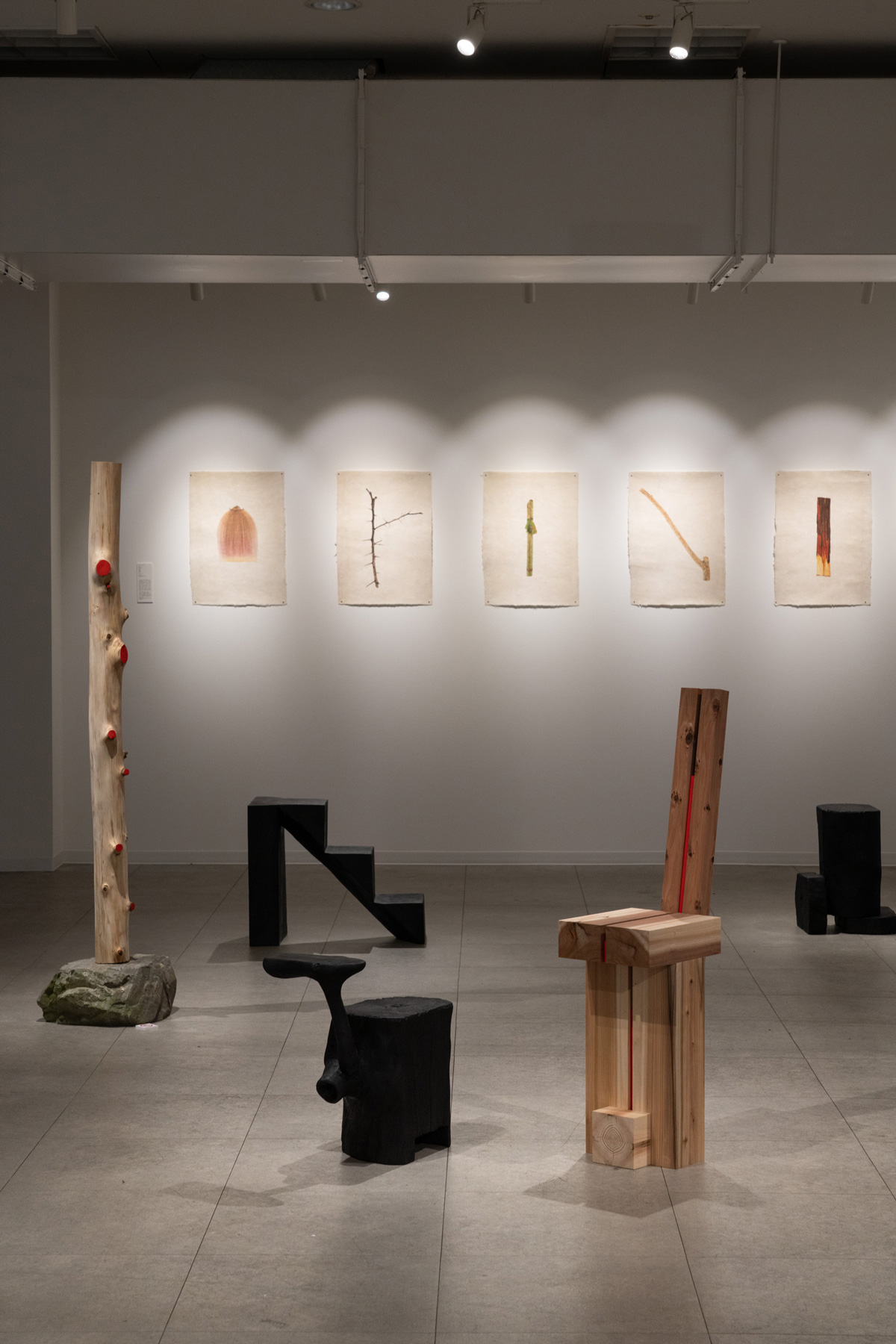 テーマに応じた作品の制作・展示・インスタレーション